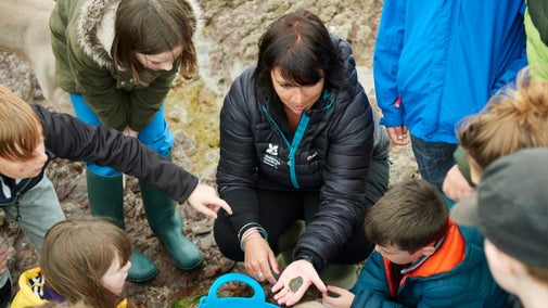 A group of children studying rocks and plants with their teacher